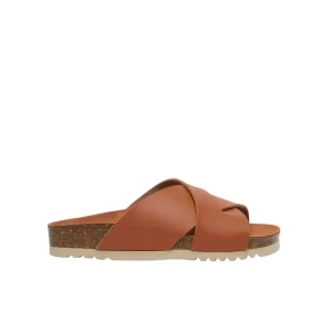 Donna Scholl Ciabatta