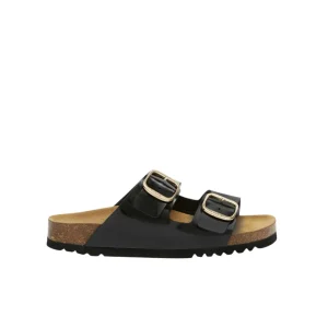 Donna Scholl Ciabatta