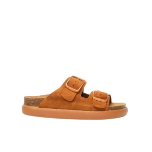 Donna Scholl Ciabatta