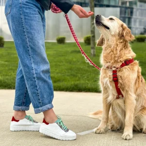 OLGA BIANCO-MULTICOLOR