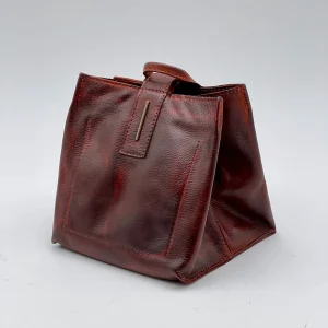 Sibilla invecchiato corteccia