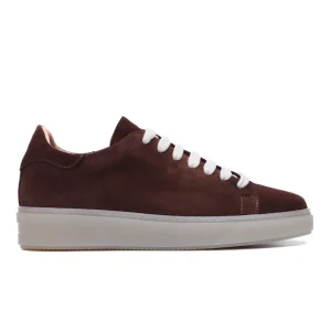 Low Sneakers in Brown Suede