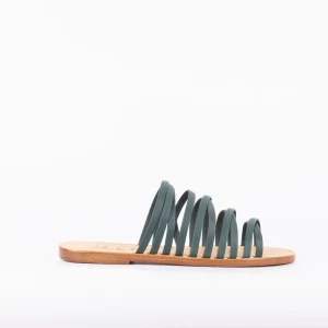 Ginger mousse cardo marino