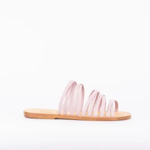 Ginger mousse orchidea