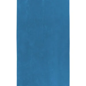 SPEEDO  Telo 90 X0180   S2340001  0309 Blue