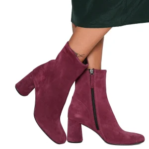 Zenia camoscio cardinal